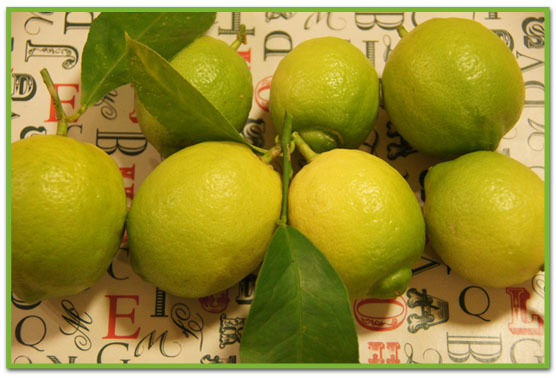 収穫したレモン♪／ランタナとピラカンサ／初サテンドレス作り（途中）_c0139591_20580417.jpg