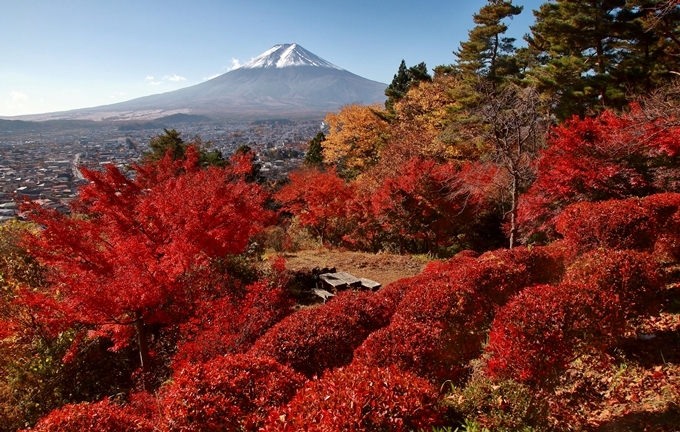 河口湖　富士吉田市_b0194994_18355123.jpg