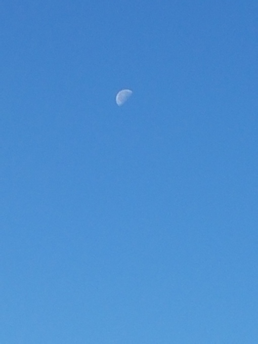 b0321595_21040942.jpg