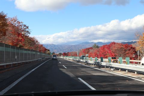 c0090198_19292356.jpg