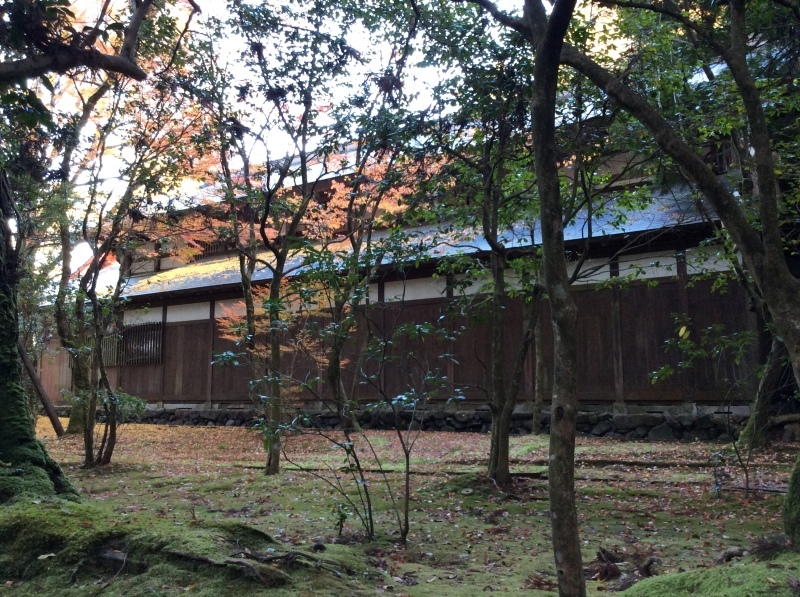 b0220002_21595148.jpeg