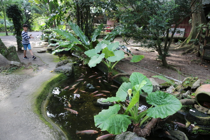 無料動物園で珍獣に遭遇　The animal resort 編_e0319202_00075649.jpg