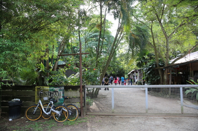 無料動物園で珍獣に遭遇　The animal resort 編_e0319202_00092031.jpg