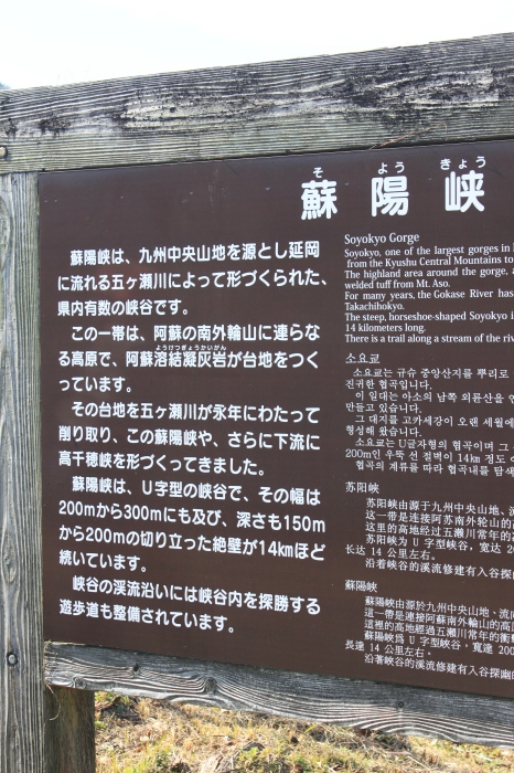 c0368903_18154445.jpg