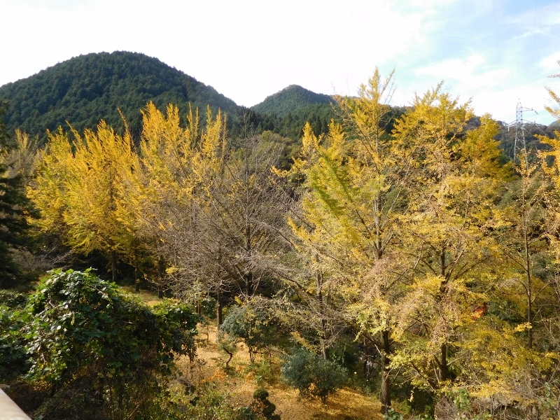 e0350905_20511436.jpg
