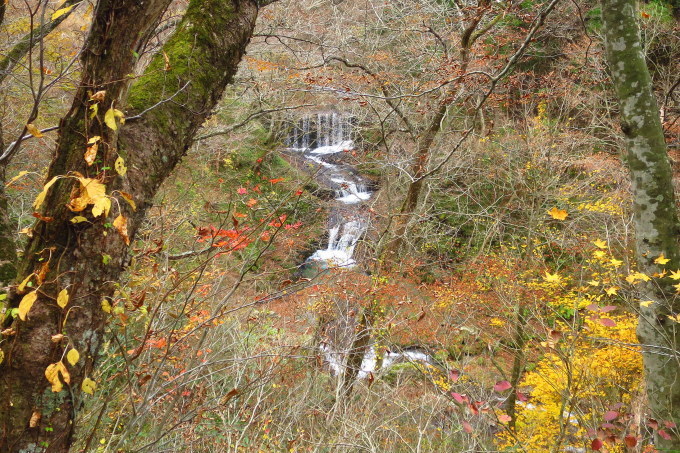 a0214206_11050105.jpg