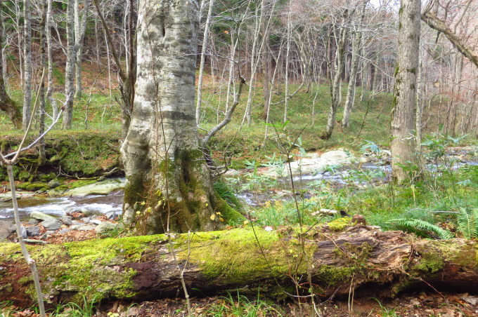 a0214206_11151762.jpg
