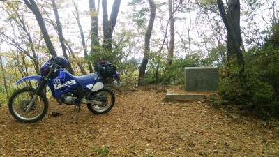 c0030607_14430005.jpg
