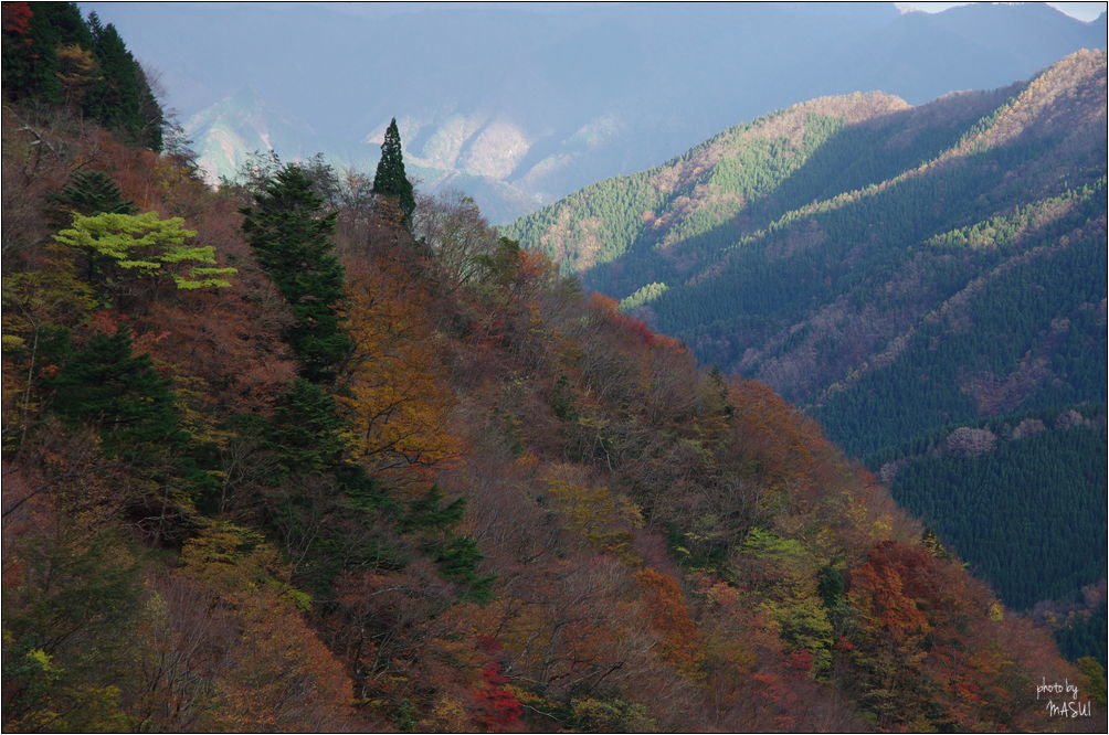 d0342307_01104305.jpg