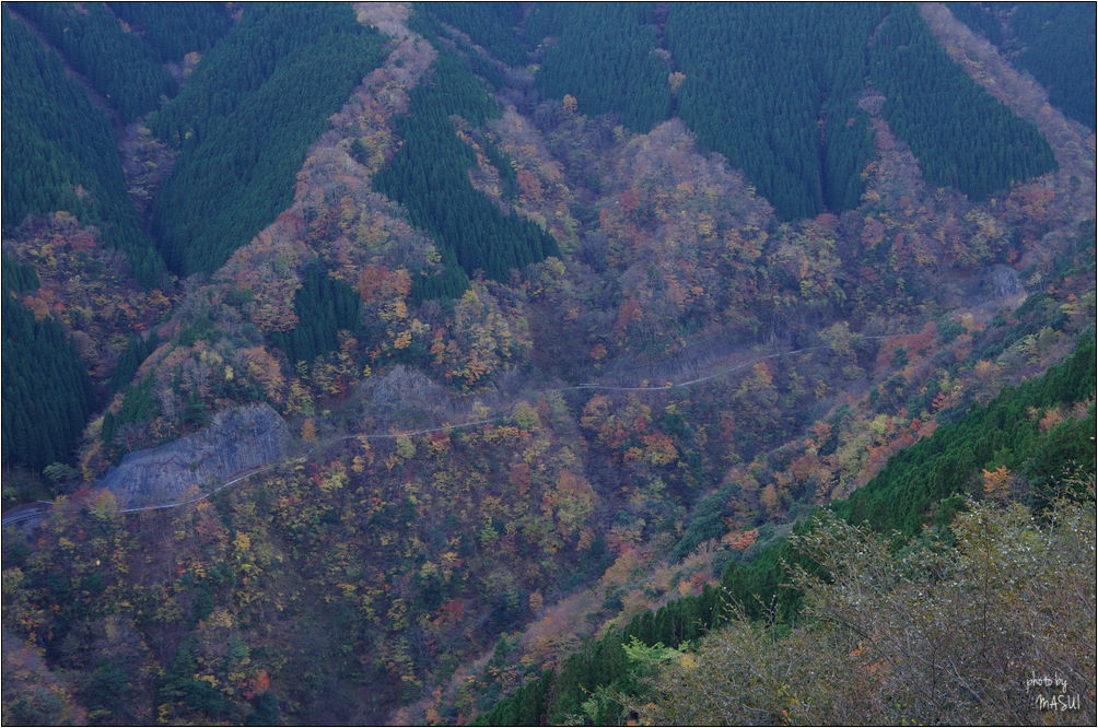 d0342307_01110767.jpg