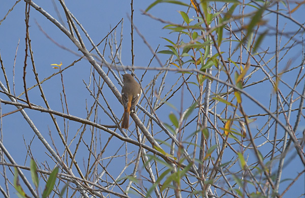 a0278809_11271868.jpg