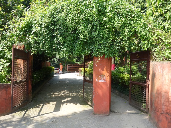 d0360509_18141126.jpg