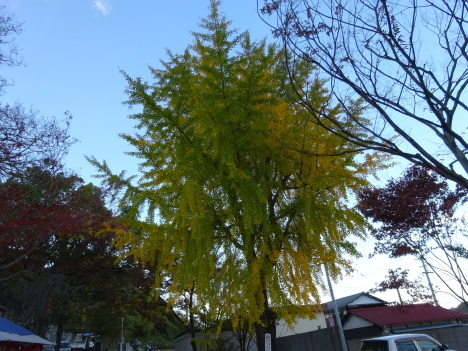 f0231709_23591394.jpg