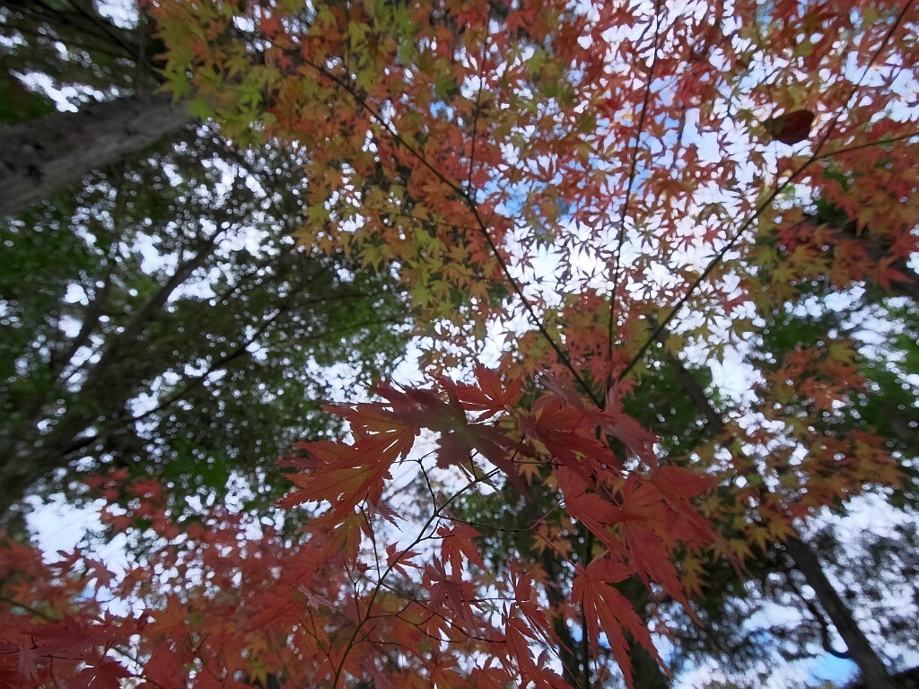 e0364711_21290720.jpg