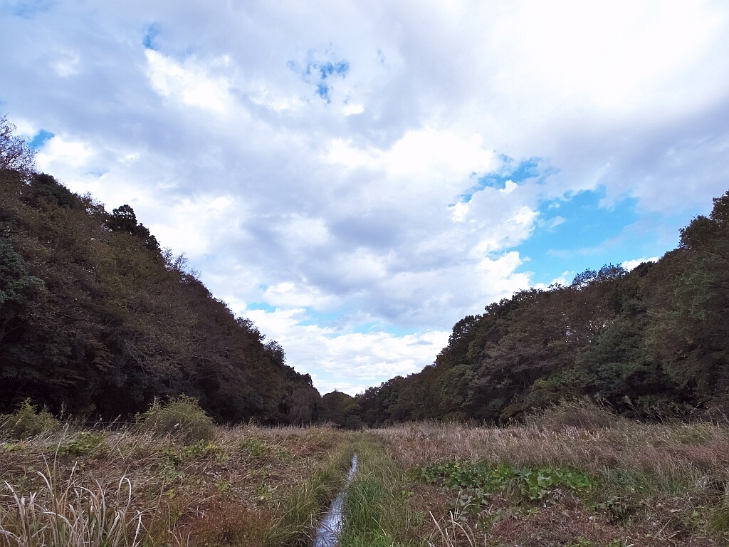e0364711_21291575.jpg