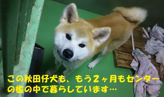 f0121712_22051814.jpg