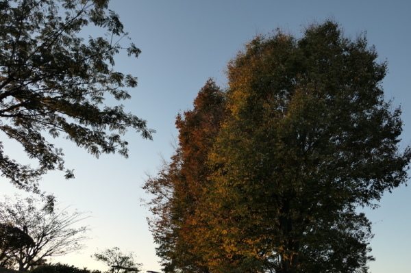f0369014_19084357.jpg