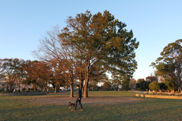f0369014_20240931.jpg