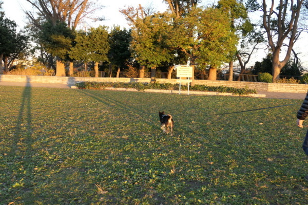 f0369014_20280104.jpg