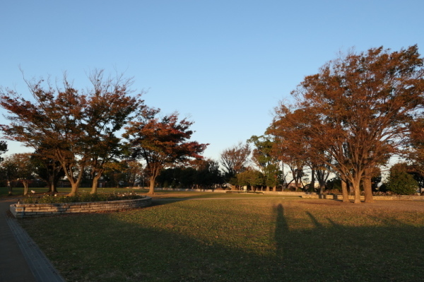 f0369014_20310516.jpg