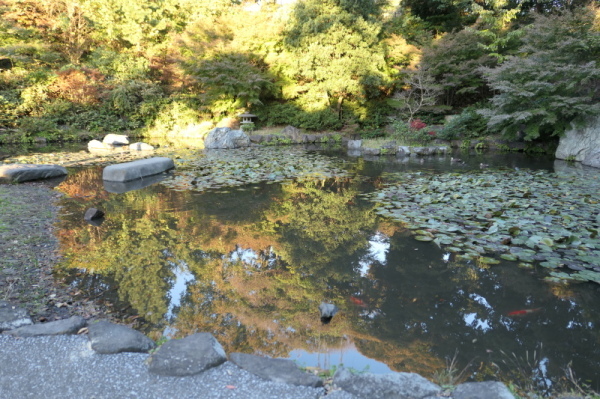 f0369014_20445313.jpg