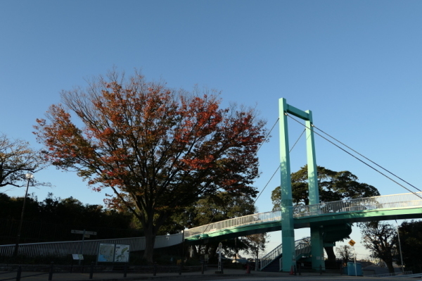 f0369014_20472442.jpg