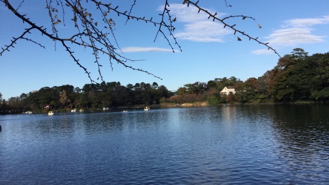 d0221319_14484719.jpeg