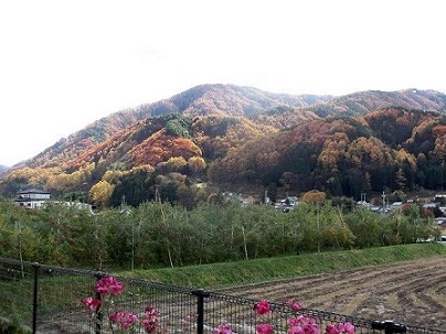 e0234924_08254844.jpg
