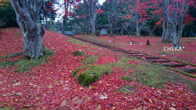 c0229025_21425658.jpg