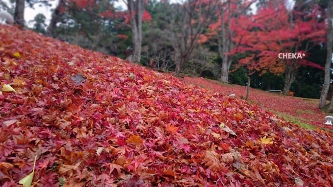 c0229025_21425867.jpg