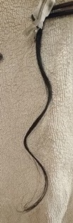 c0109726_17003921.jpg