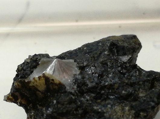 c0162128_17134936.jpg