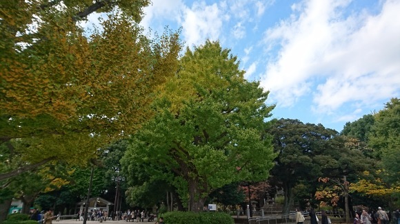 「紅葉と美術館」上野恩賜公園_d0372528_09171635.jpg