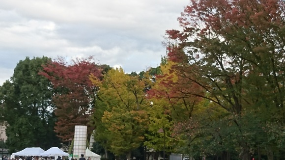 「紅葉と美術館」上野恩賜公園_d0372528_09193986.jpg