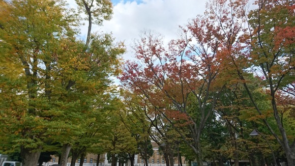 「紅葉と美術館」上野恩賜公園_d0372528_09204269.jpg