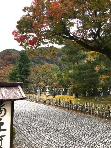紅葉が見頃に_a0197730_12260183.jpg