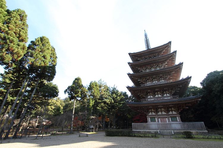 紅葉の醍醐 －醍醐寺（伽藍・前編）－ _b0169330_942988.jpg