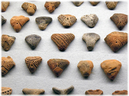 縄文時代 古代の日本人の芸術_d0221430_18273218.jpg