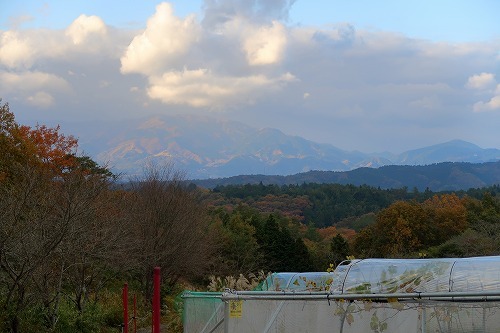 d0336530_21441696.jpg