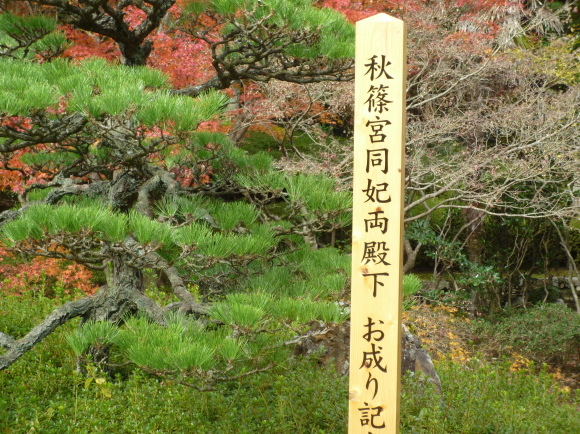 d0334331_17172234.jpg