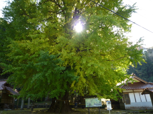 d0334331_17174519.jpg