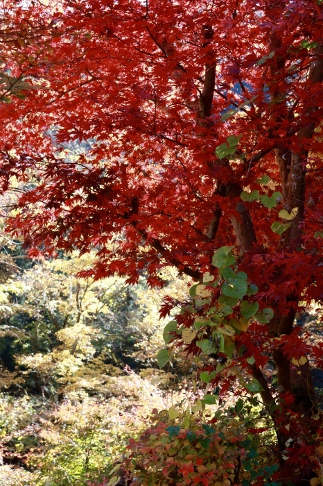 f0348831_22051601.jpg