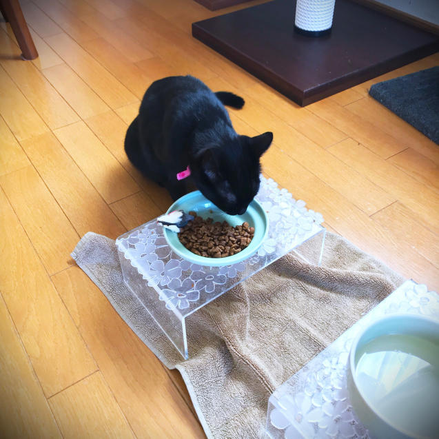 意味あるのかな? _d0355333_11255073.jpg