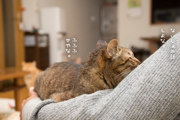 笑子たんとお話し _d0355333_12184939.jpg