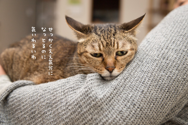 笑子たんとお話し _d0355333_12185305.jpg