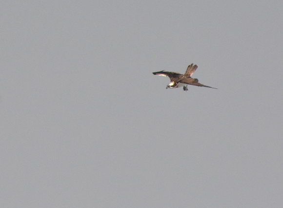 e0097534_15385611.jpg