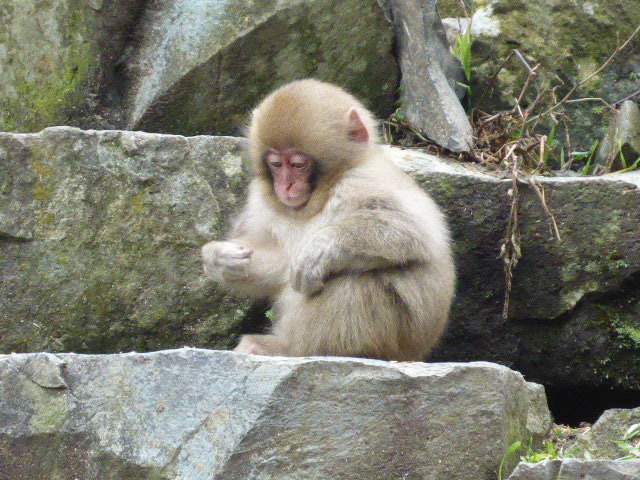 c0077835_19031521.jpg
