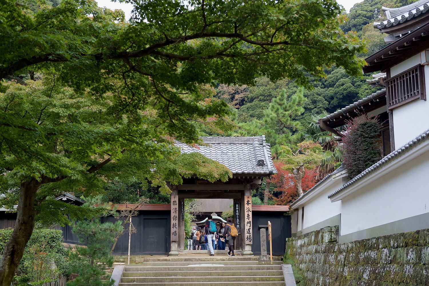 円覚寺 境内　（神奈川県 鎌倉市）　_b0212342_07031246.jpg