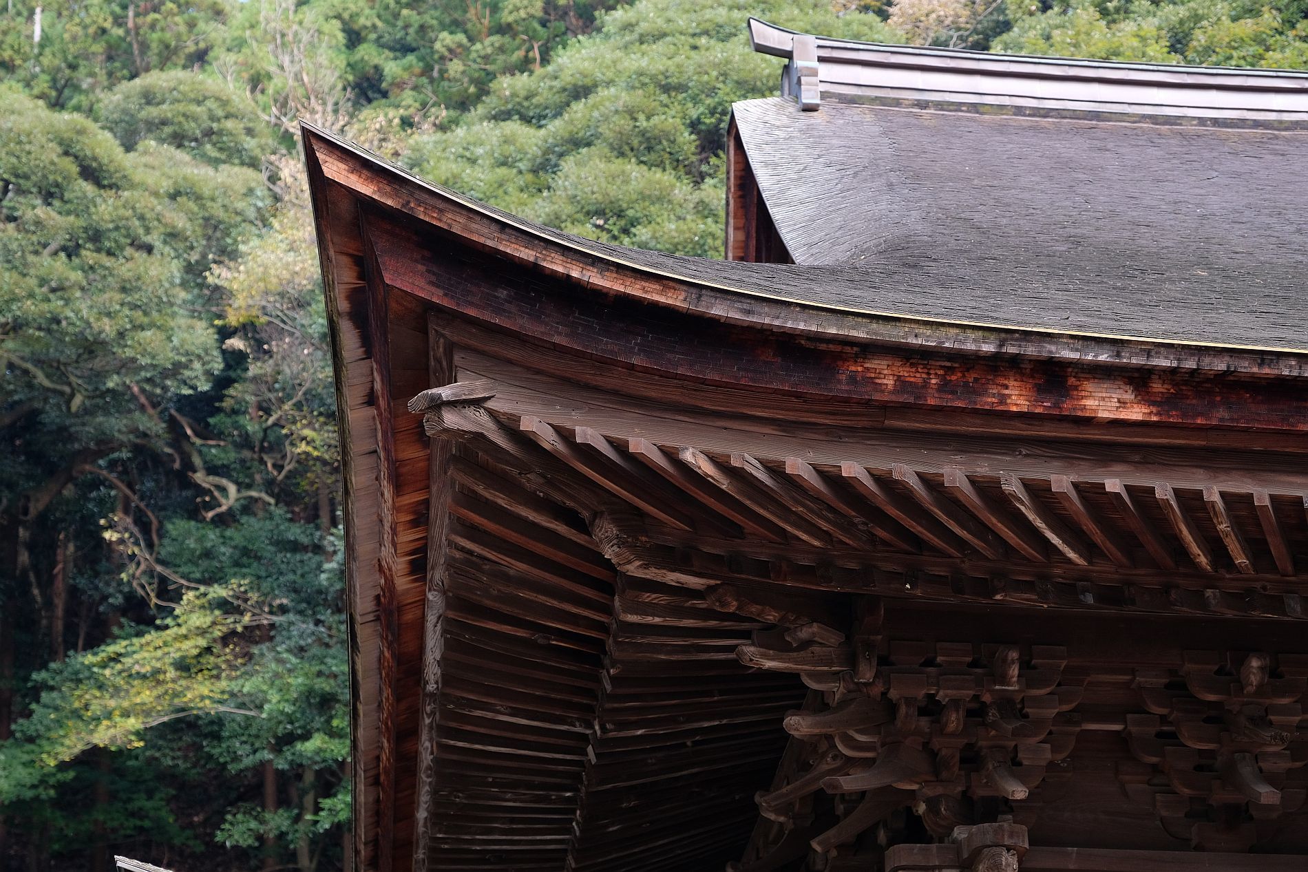 【国宝｜円覚寺 舎利殿】　2021年 特別一般公開情報、普段の拝観は？　（神奈川県 鎌倉市）_b0212342_07224968.jpg