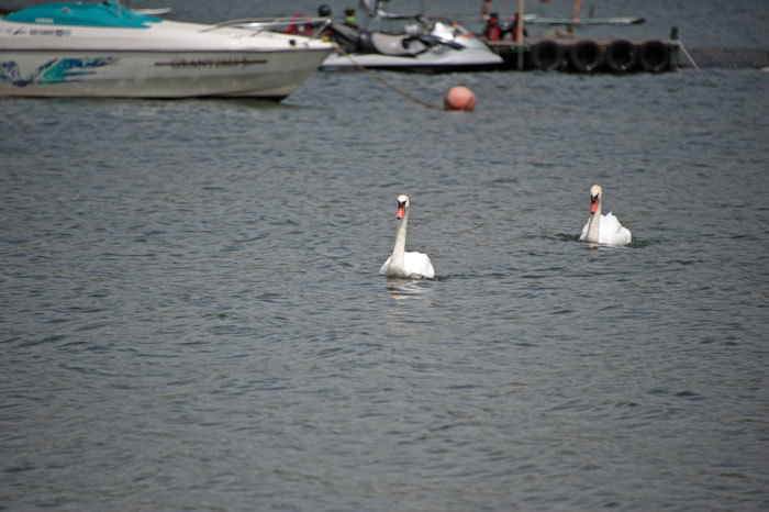 b0067346_17441022.jpg